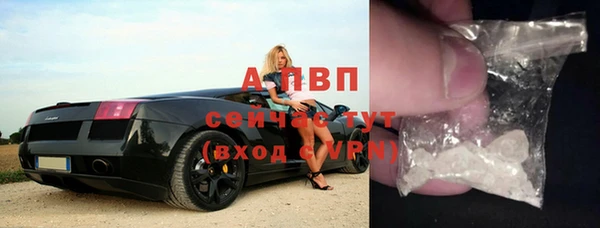 дживик Гусь-Хрустальный