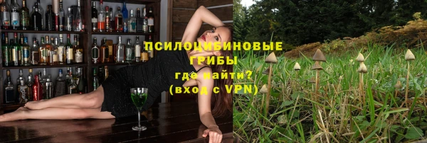 дживик Гусь-Хрустальный