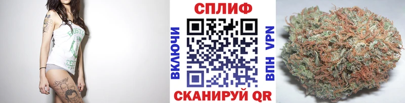 Шишки марихуана конопля  магазин продажи наркотиков  Правдинск 